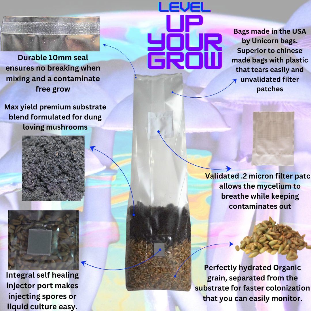 All In One Mushroom Grow Bag Bundle 16 Count