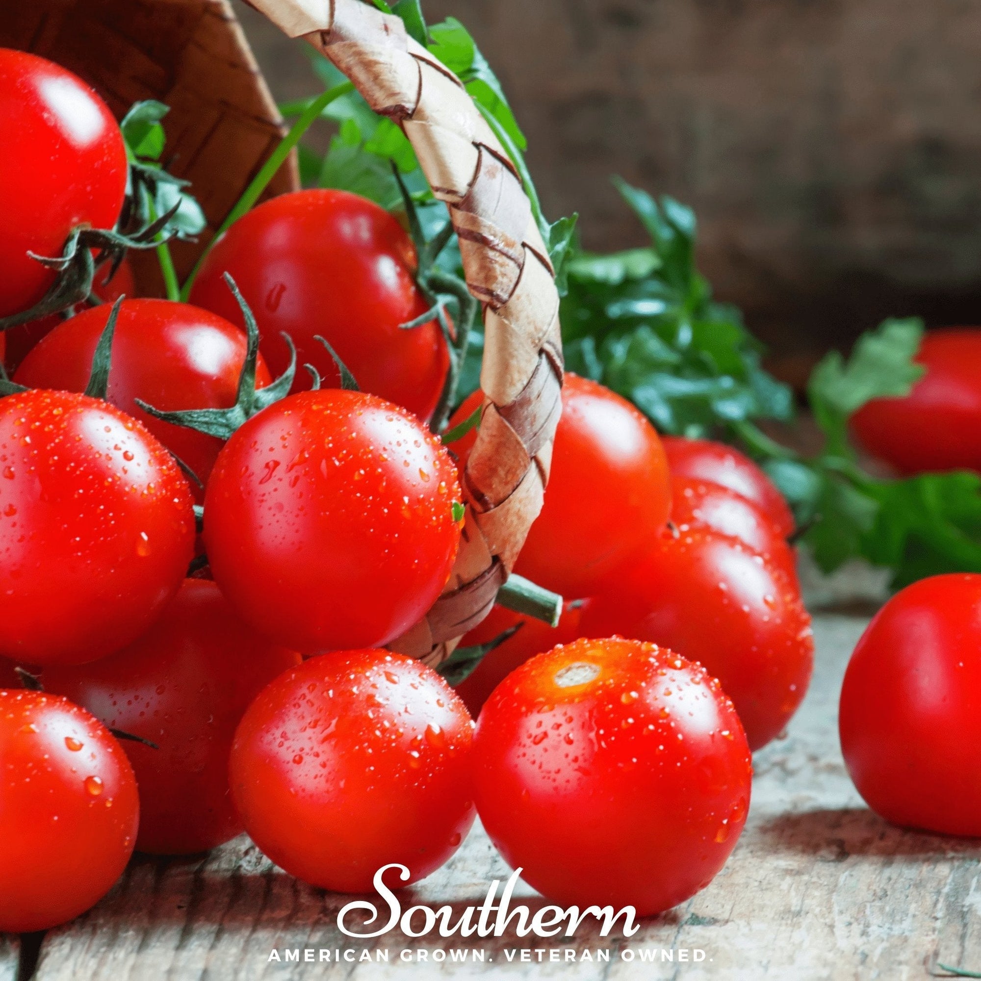 Small Red Cherry Tomato – 100 Seeds