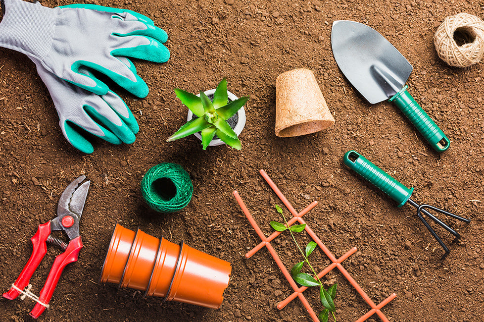 Top Professional Gardening Supplies Every Expert Gardener Needs