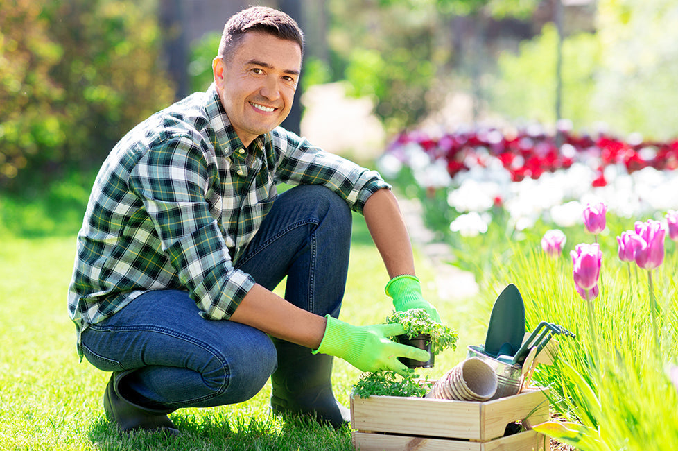 Latest Gardening Trends to Explore at an Online Gardening Store