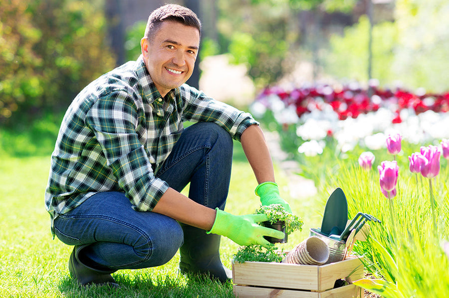 Latest Gardening Trends to Explore at an Online Gardening Store