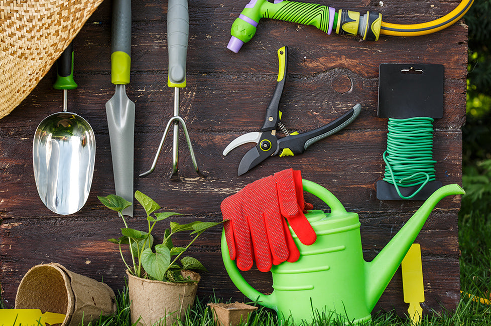 Upgrade Your Garden with These Efficient Tools and Equipment