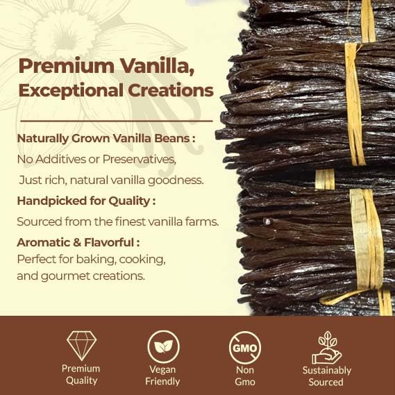 1 lb Premium Wholesale Vanilla Beans – Bulk Vanilla Beans for Culinary Professionals