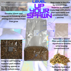 Sterile Mushroom Grain Spawn Bag (5 Pound)