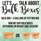 Strawberry Premium Potting Mix