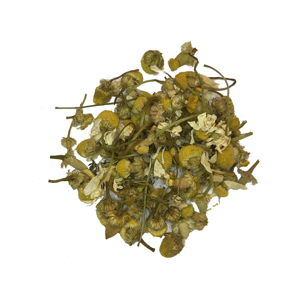 Chamomile - Egyptian