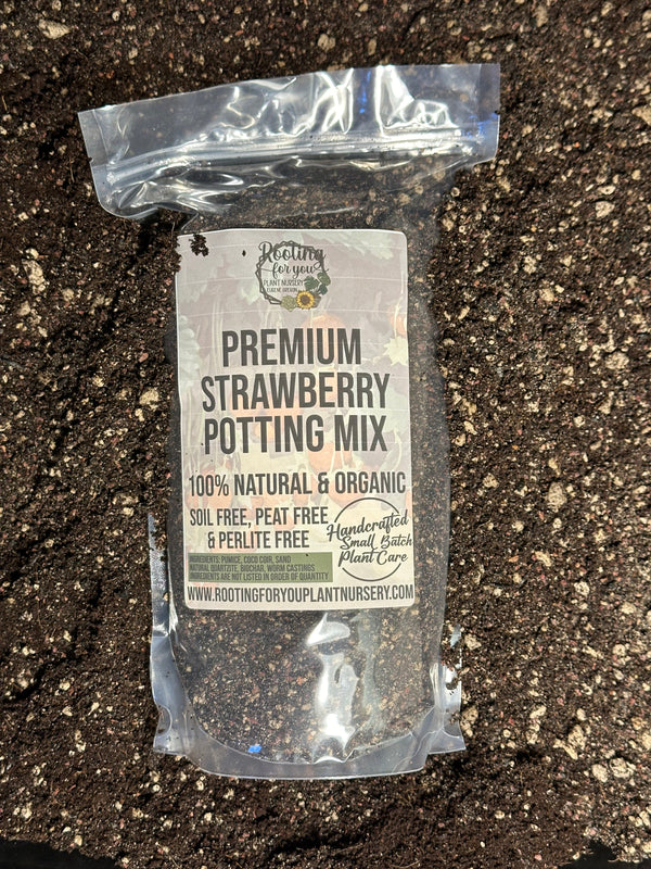 Strawberry Premium Potting Mix