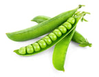 Green Peas (Winter Variety) Seeds for Planting – Cold-Resistant, Heirloom Vegetable Seeds for Cool Season Gardening