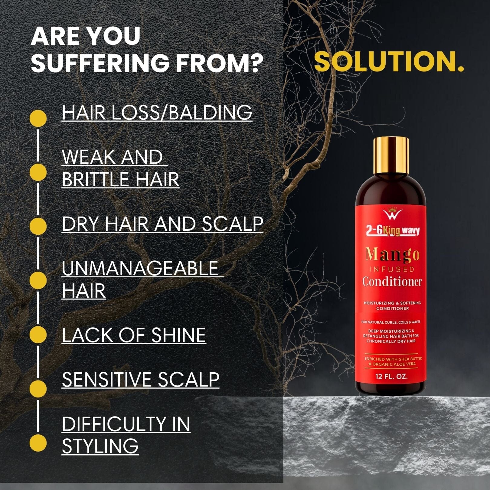 Infused Mango Conditioner (12 FL OZ)  Premium Quality