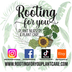 Tomato Plant Premium Potting Mix