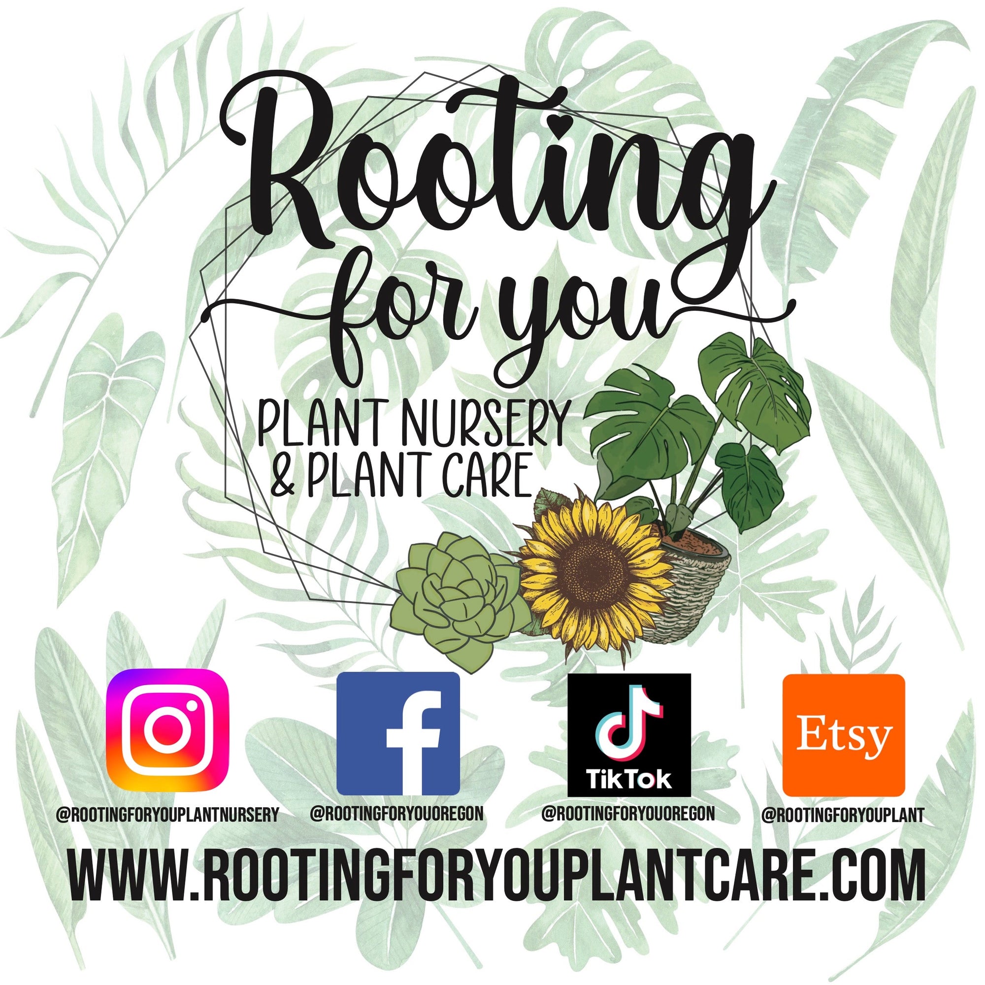 Rose Premium Potting Mix