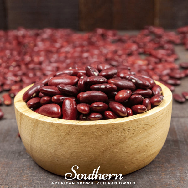 Dark Red Kidney Bean (Bush) – 20 Seeds