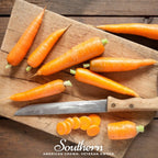 Scarlet Nantes Carrot – 250 Seeds
