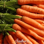 Tendersweet Carrot – 250 Seeds