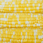 Ambrosia Corn – 60 Seeds