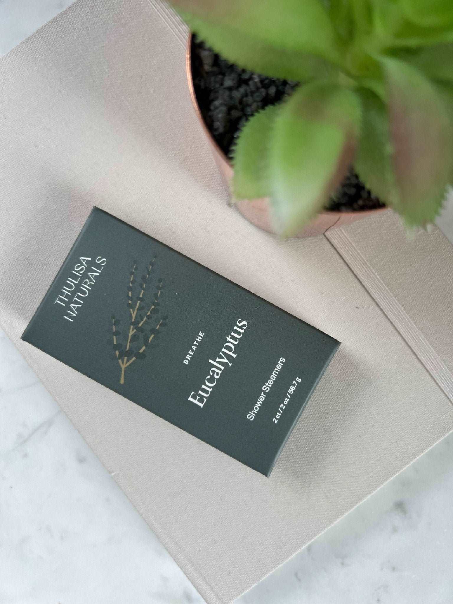 Eucalyptus Shower Steamers - 2 Pack