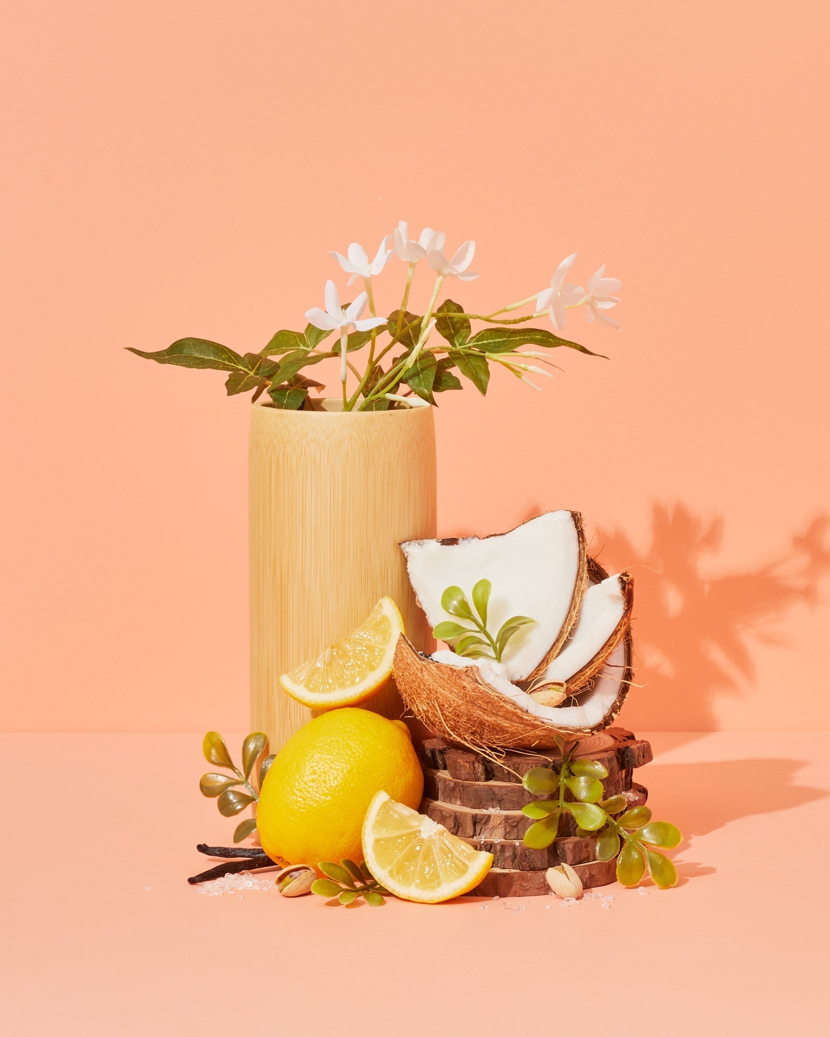 moringa cream & salted coconut - the stash