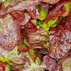 Cimmaron Romaine Lettuce – 200 Seeds