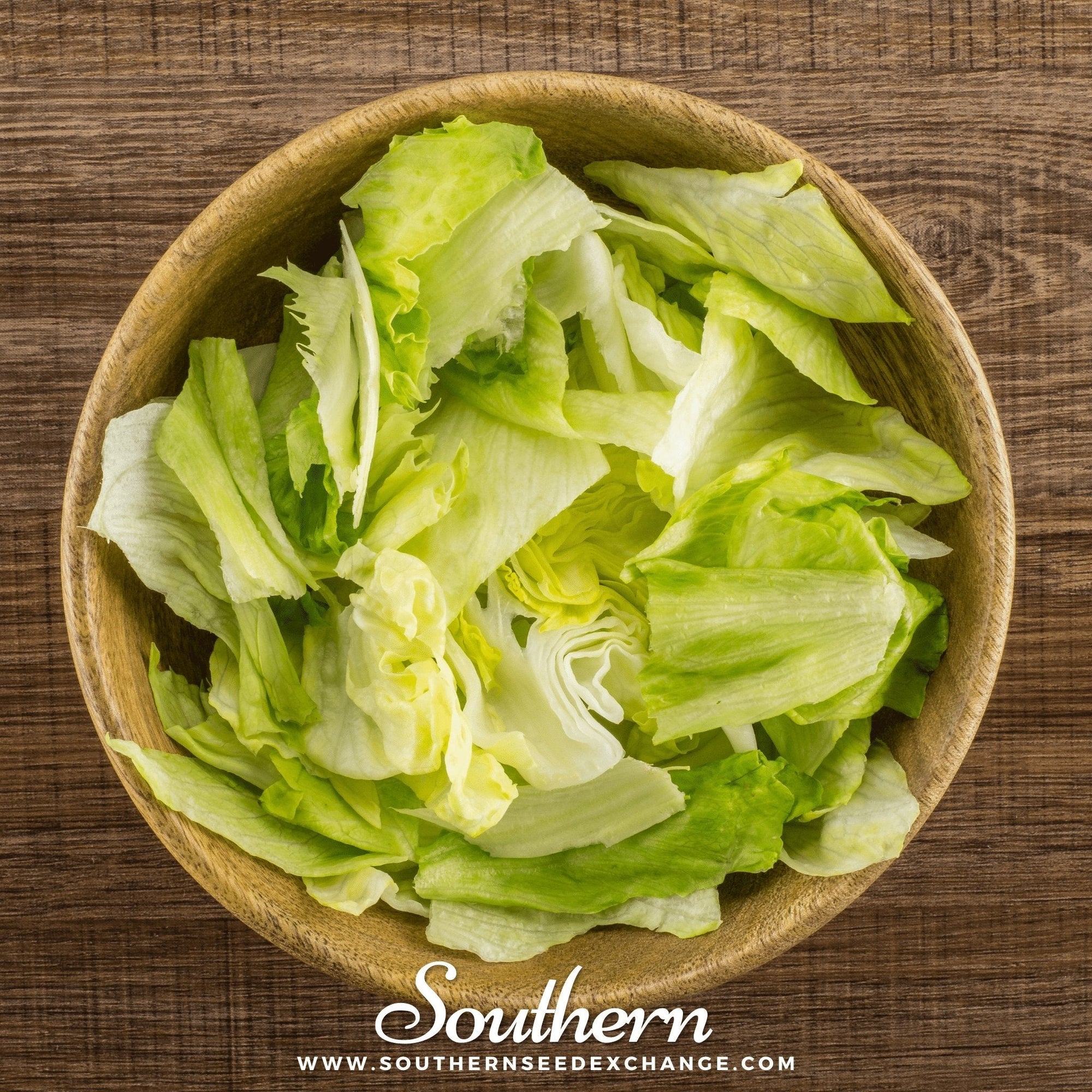 Iceberg Lettuce – 500 Seeds