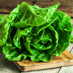 Parris Island Cos Lettuce – 500 Seeds