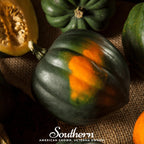 Table Queen Acorn Winter Squash – 25 Seeds