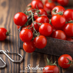 Small Red Cherry Tomato – 100 Seeds